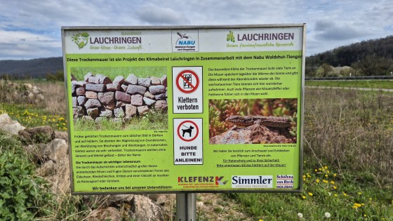 Info-Schild zur Trockenmauer bei Oberlauchringen (Foto: Martin Dühning)